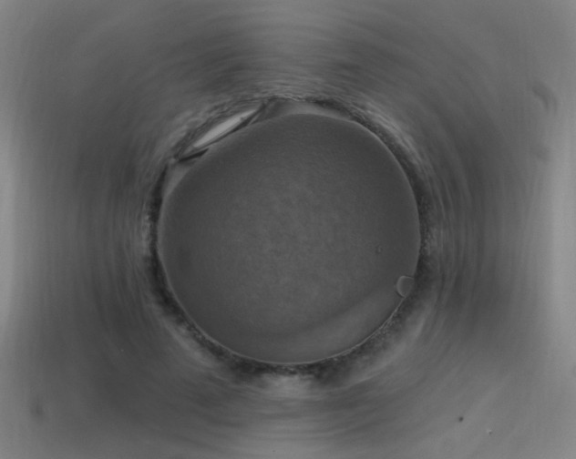 X0000114420689200910161228