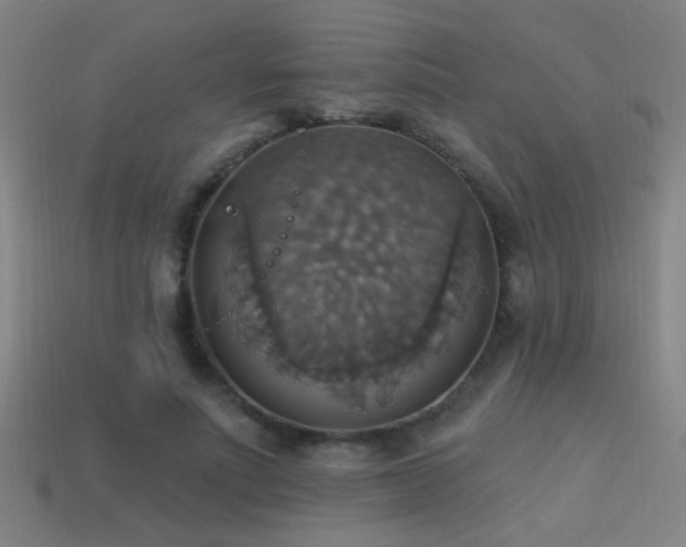 X0000114420691200910161228