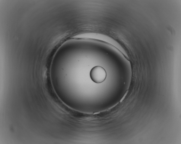 X0000114420692200910161228