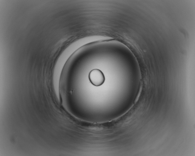 X0000114420693200910161228