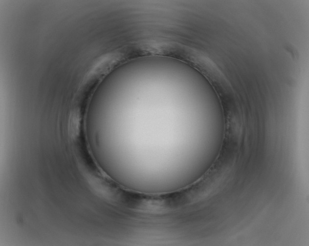 X0000114420694200910161228
