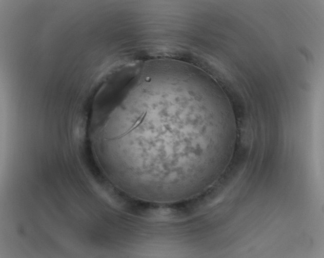 X0000114420695200910161228