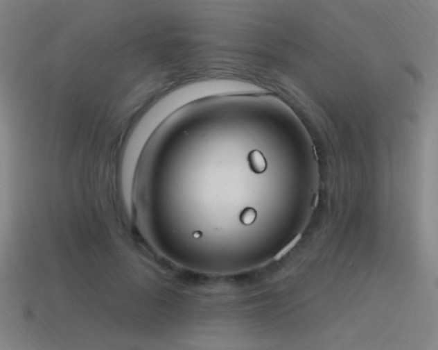 X0000114420696200910161228