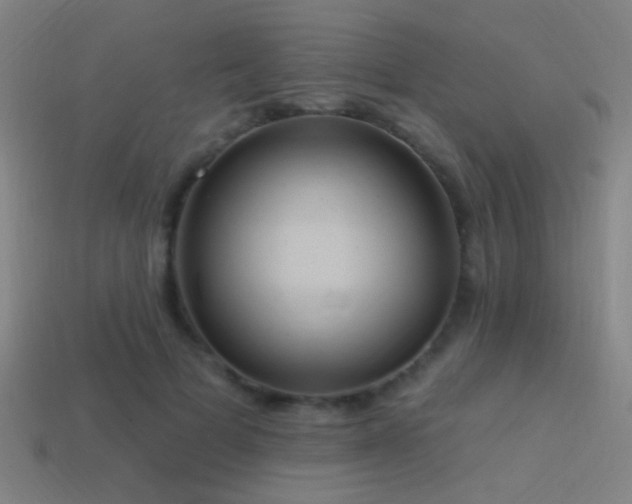 X0000114420697200910161228