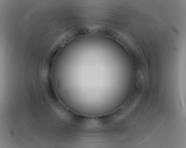 X0000114420698200910161228