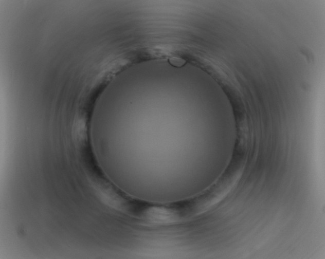 X0000114420699200910161228