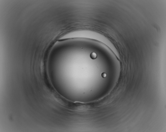 X0000114420700200910161228
