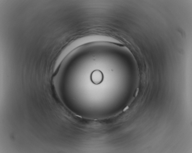 X0000114420701200910161228