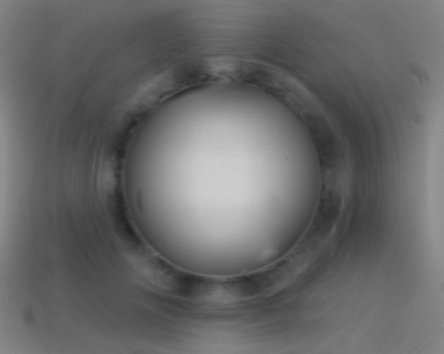 X0000114420702200910161228