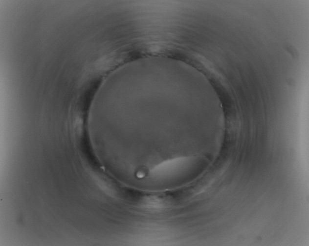 X0000114420703200910161228