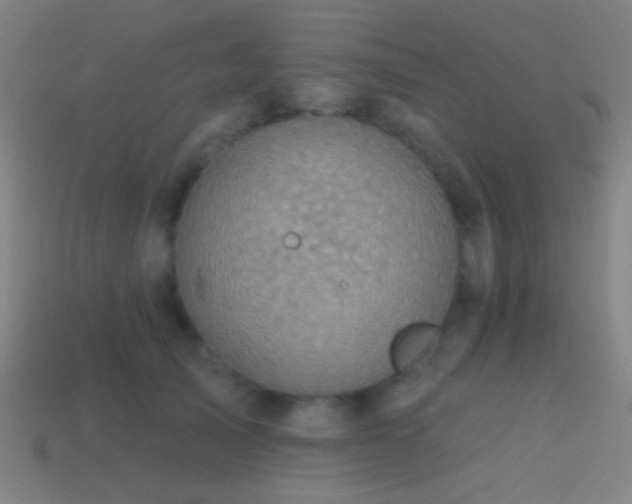 X0000114420705200910161228