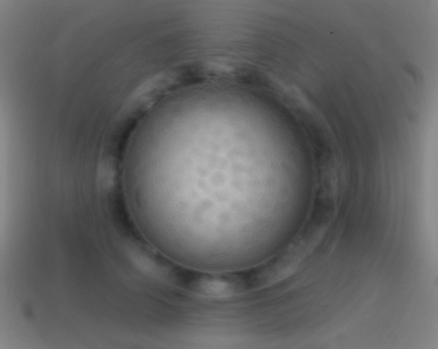 X0000114420706200910161228