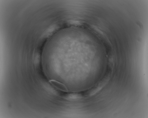 X0000114420708200910161228