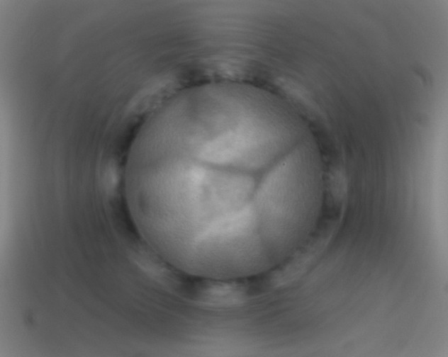 X0000114420709200910161228