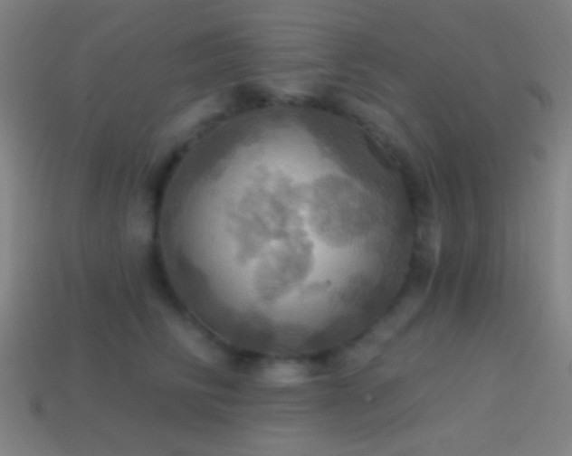 X0000114420710200910161228