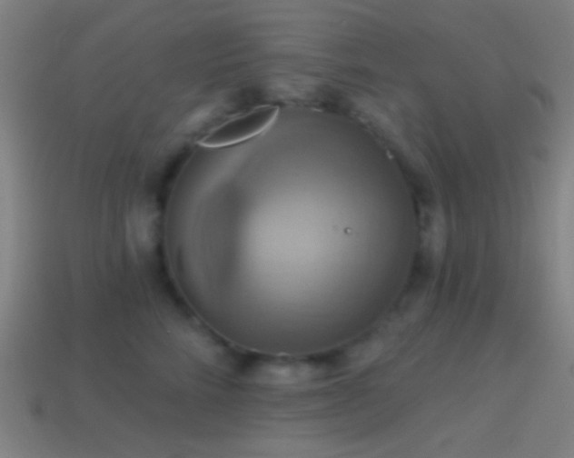 X0000114420712200910161228
