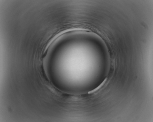 X0000114420713200910161228