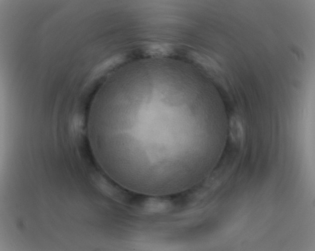X0000114420714200910161228