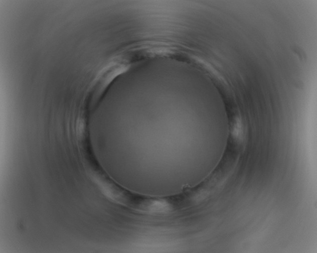 X0000114420715200910161228