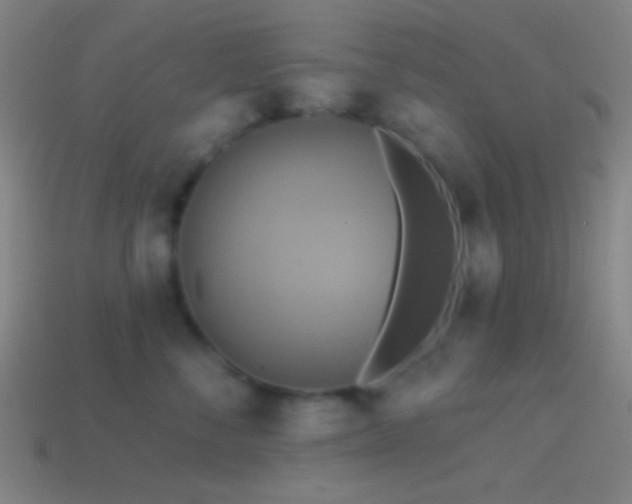 X0000114420716200910161228