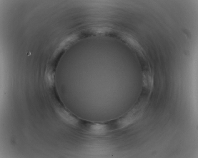 X0000114420718200910161228