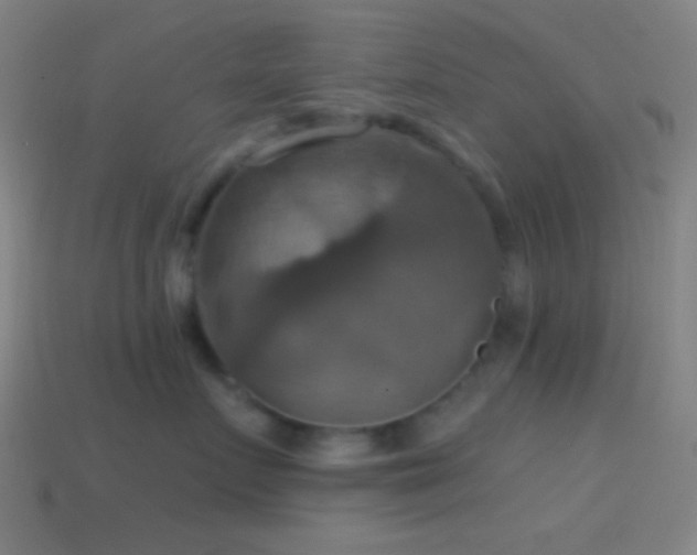 X0000114420719200910161228