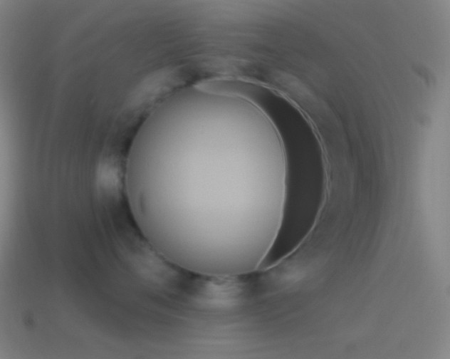 X0000114420720200910161228