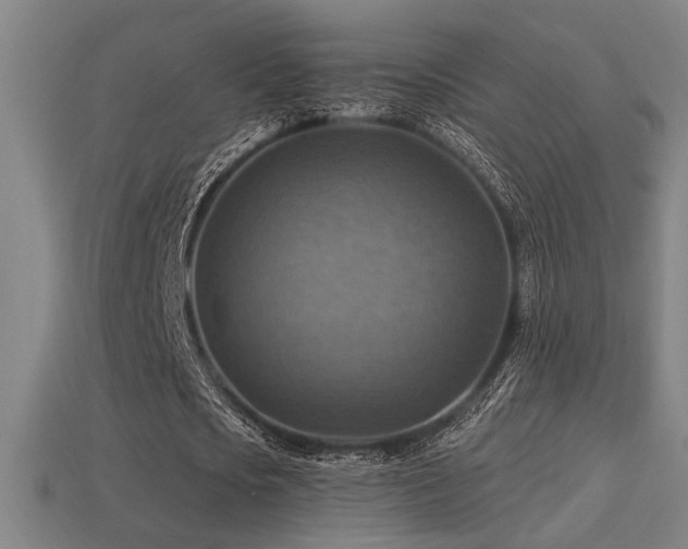 X0000114420721200910161227