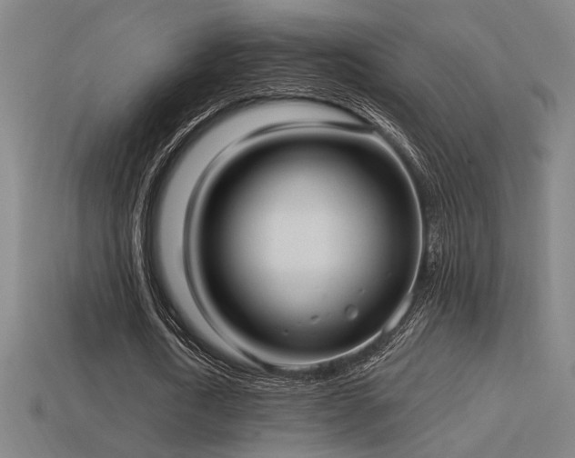 X0000114420722200910161227