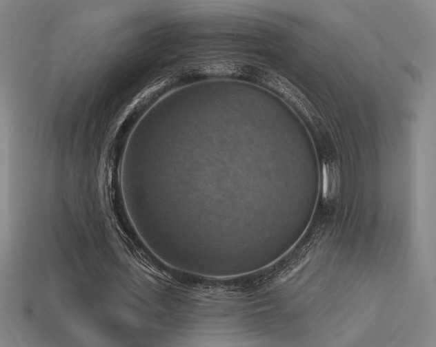 X0000114420723200910161227