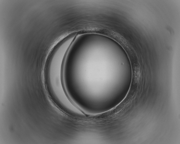 X0000114420726200910161227