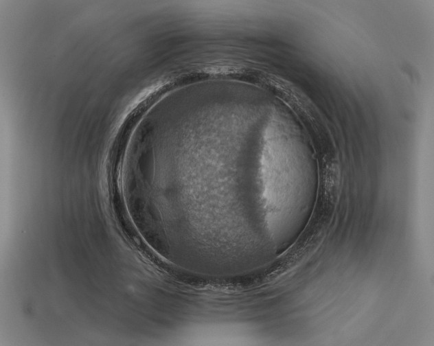 X0000114420727200910161227