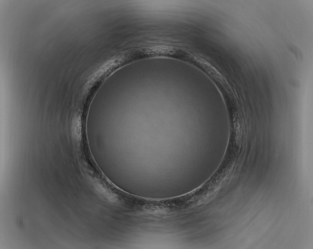 X0000114420729200910161227