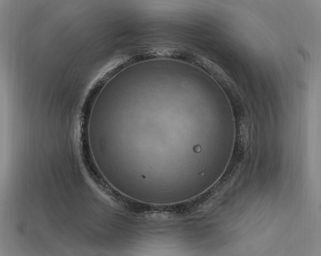 X0000114420730200910161227