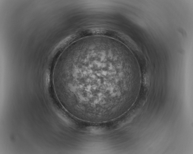 X0000114420733200910161227