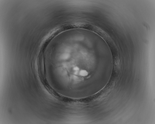 X0000114420734200910161227