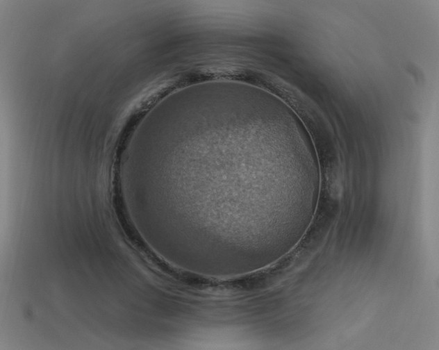 X0000114420735200910161227