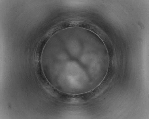 X0000114420737200910161227