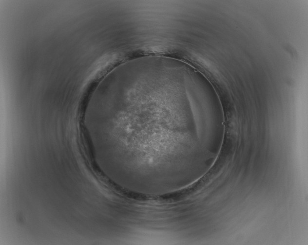 X0000114420738200910161227