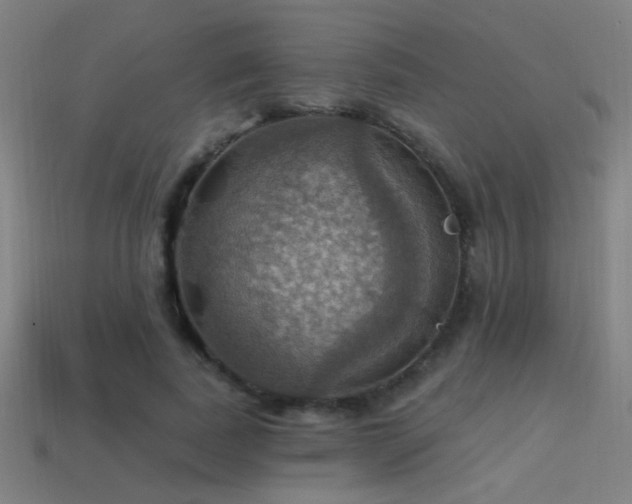 X0000114420739200910161227
