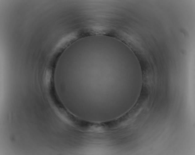 X0000114420742200910161228