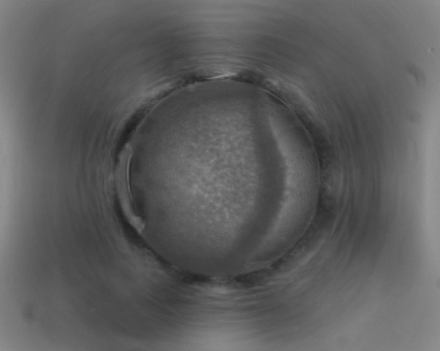 X0000114420743200910161228
