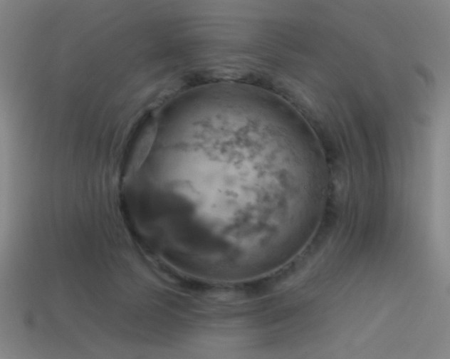 X0000114420745200910161228