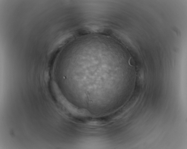 X0000114420746200910161228