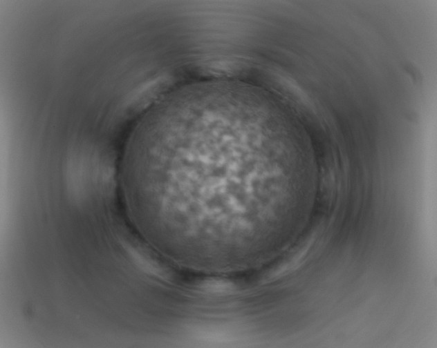 X0000114420749200910161228