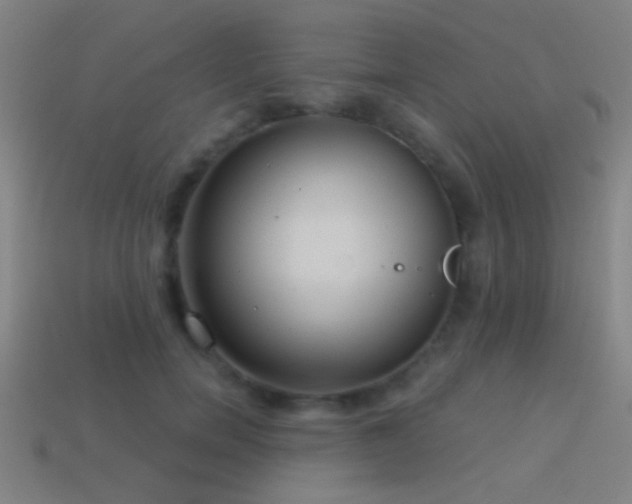 X0000114420750200910161228