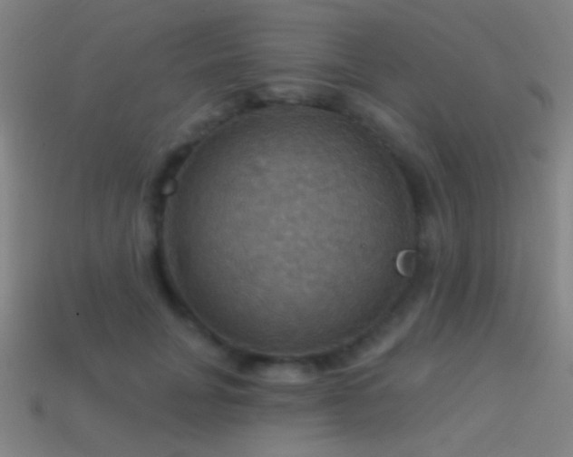 X0000114420751200910161228