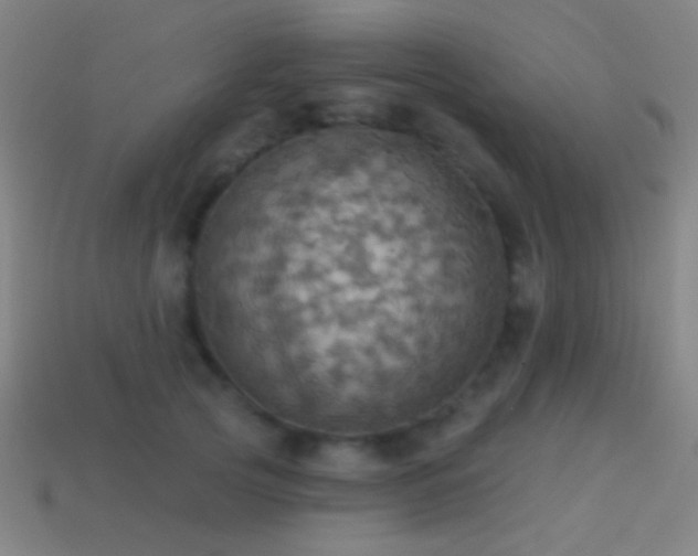 X0000114420753200910161228