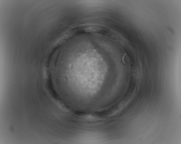X0000114420755200910161228
