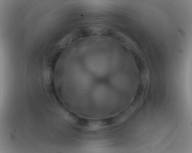 X0000114420757200910161228
